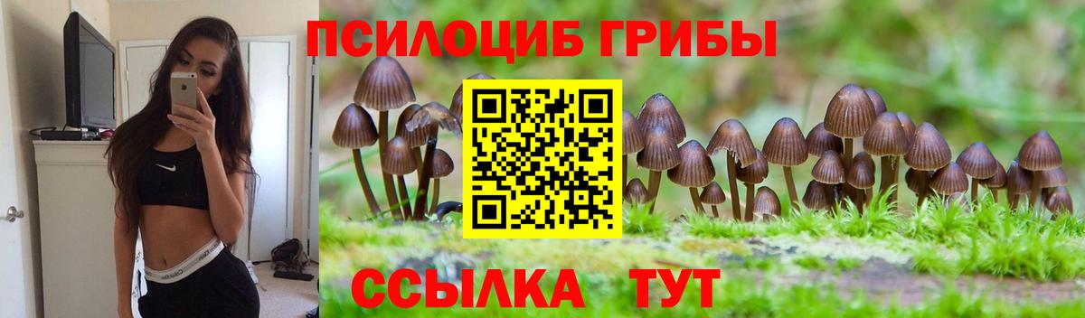 цены наркотик  Вход с VPN  Подольск  Галлюциногенные грибы ЛСД  Галлюциногенные грибы ЛСД 
